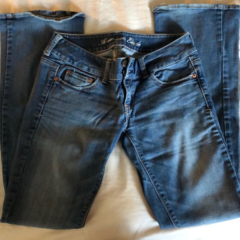 American Eagle Artist